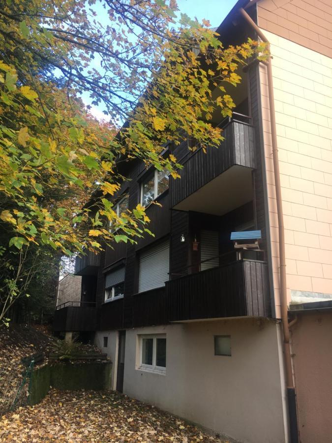 Ferienwohnung Fuchsbau Goslar Buitenkant foto